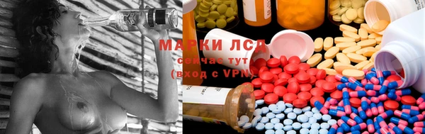 крисы Балахна
