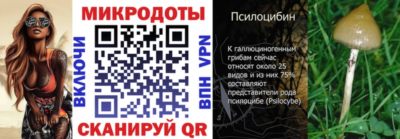 Псилоцибиновые грибы Magic Shrooms  купить наркотики сайты  Горняк 