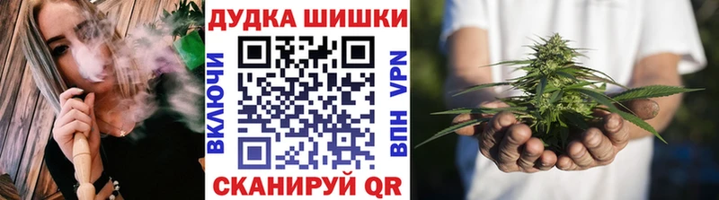 Бошки марихуана сатива  как найти закладки  Горняк 